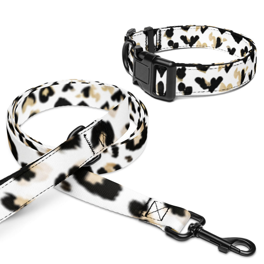 Pet collar & leash