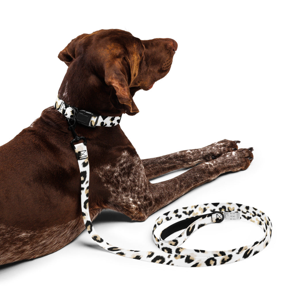 Pet collar & leash