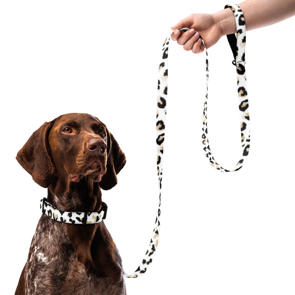 Pet collar & leash