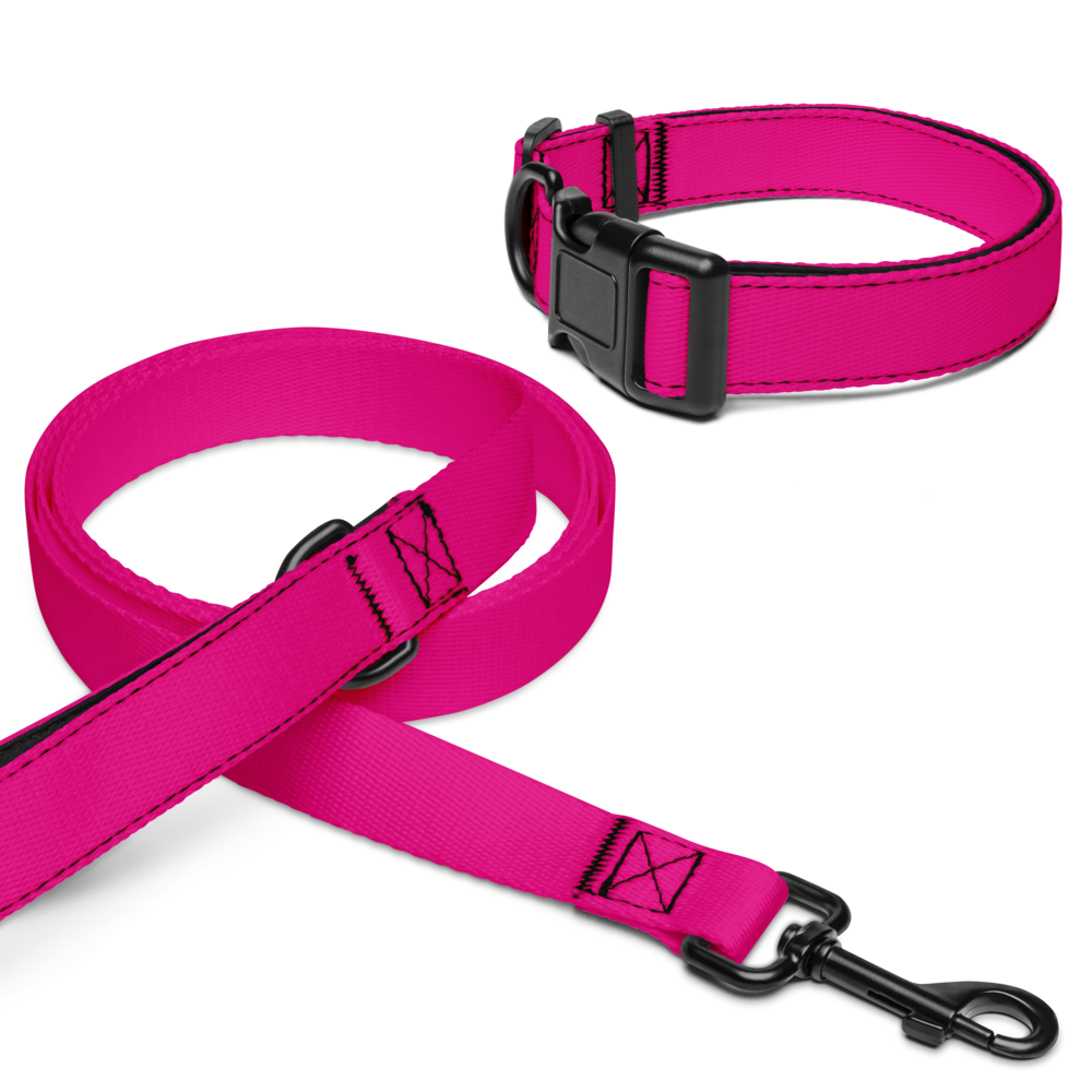 Pet collar & leash