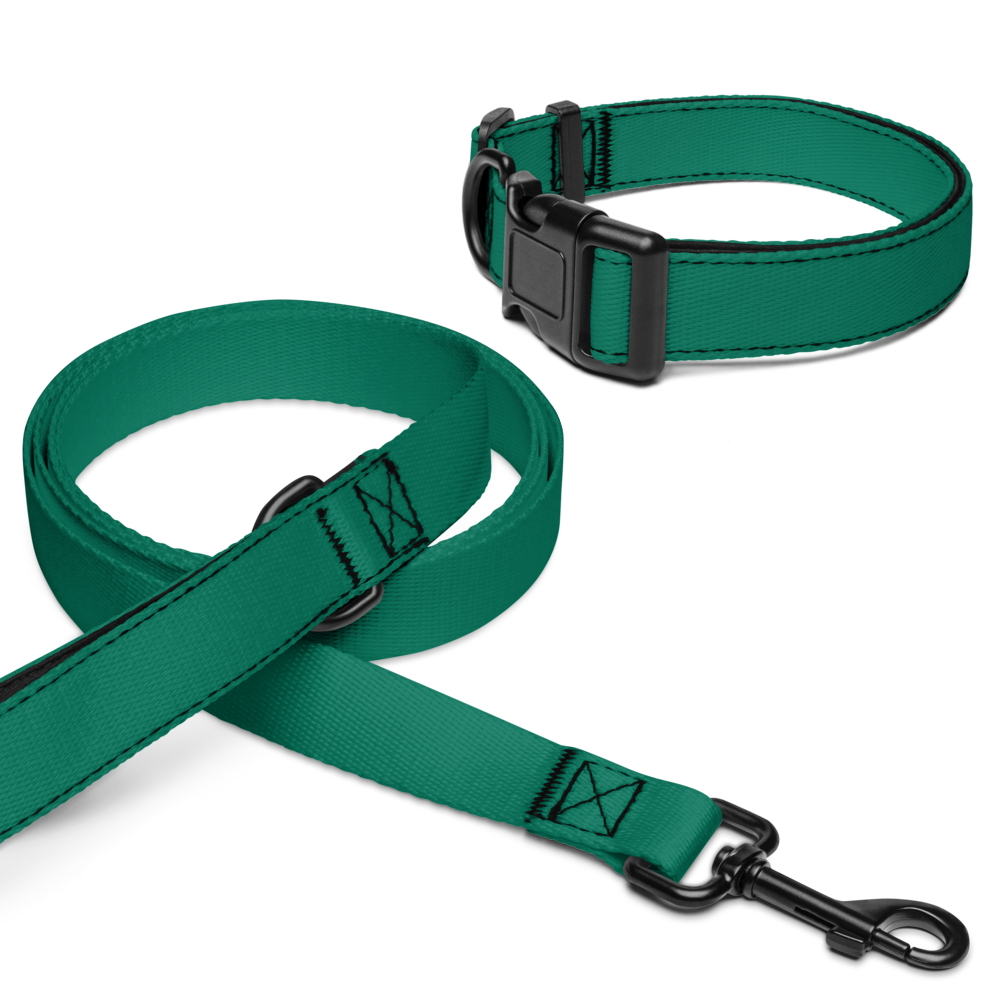 Pet collar & leash