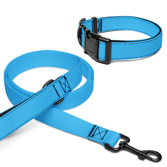 Pet collar & leash