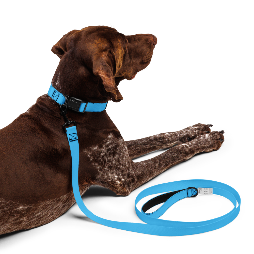 Pet collar & leash
