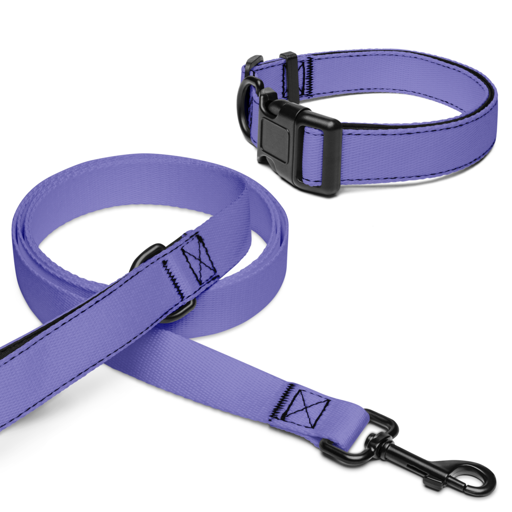 Pet collar & leash